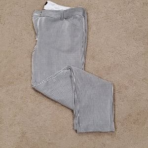 Express columnist ankle 14R pinstripe pant